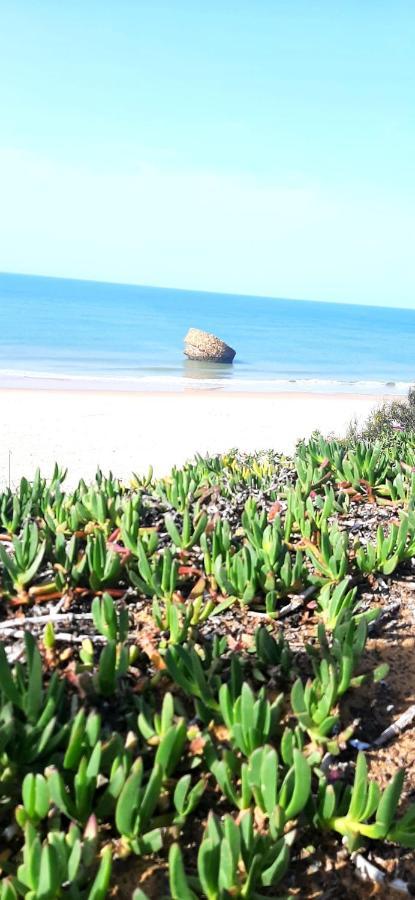 Caracola Beach Matalascañas Exteriör bild